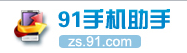 logo - 91
