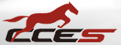 360buy to Acquire Logistics Company CCES, Chinese B2C’s Logistics Conundrum