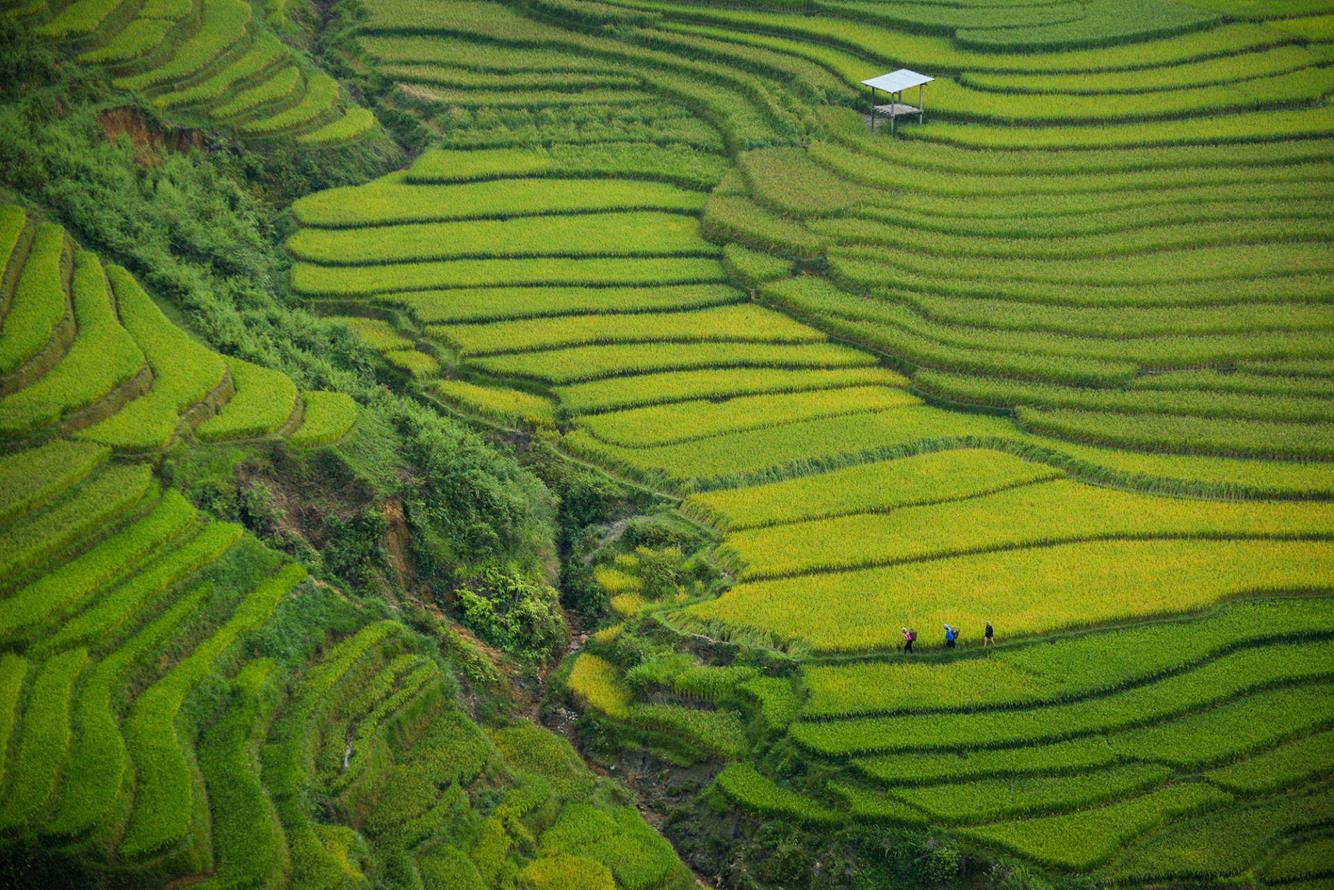 Agriculture Fintech s Potential RMB Three Trillion Market In China 