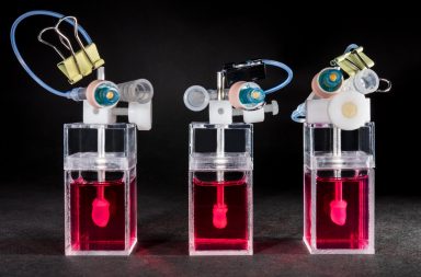 Novoheart miniature hearts testing